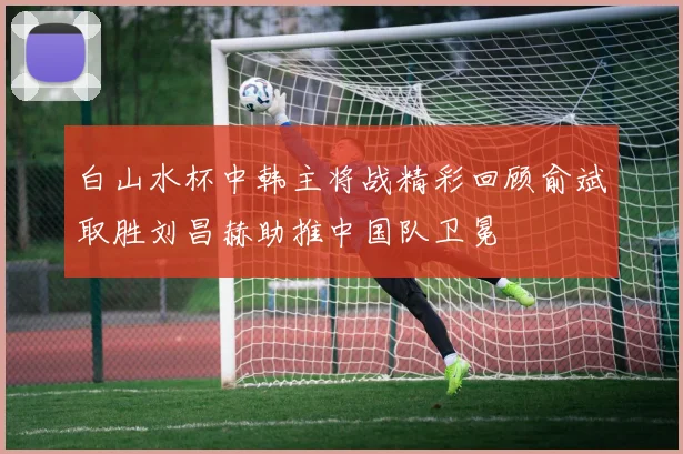 白山水杯中韩主将战精彩回顾俞斌取胜刘昌赫助推中国队卫冕