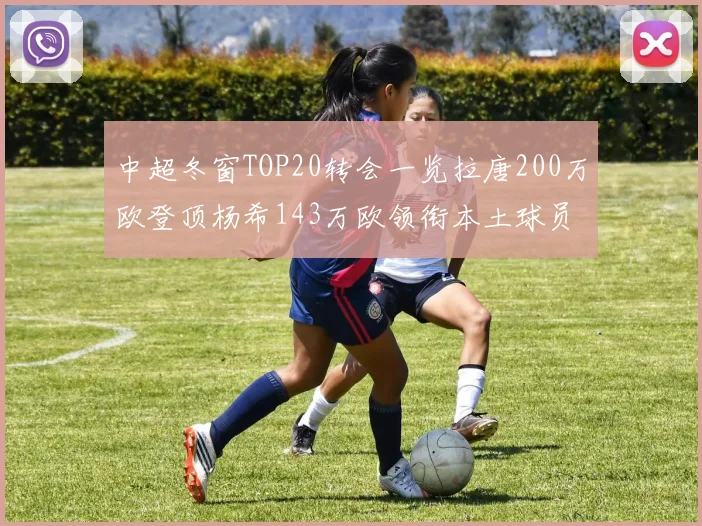 中超冬窗TOP20转会一览拉唐200万欧登顶杨希143万欧领衔本土球员