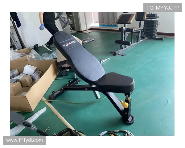 健身房内各类健身器材功能分类与指导使用